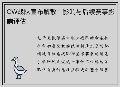 OW战队宣布解散：影响与后续赛事影响评估