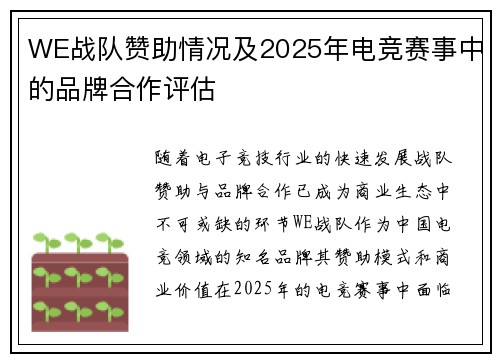 WE战队赞助情况及2025年电竞赛事中的品牌合作评估